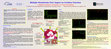 Research paper thumbnail of Multiple Otosclerotic Foci: Impact on Cochlear Function