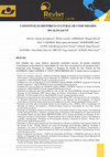 Research paper thumbnail of Constituição Histórico-Cultural De Comunidades Do Alto Jacuí