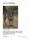 Research paper thumbnail of Extreme genomic erosion after recurrent demographic bottlenecks in the highly endangered Iberian lynx