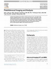 Research paper thumbnail of Patellofemoral imaging and analysis