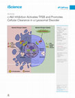 Research paper thumbnail of c-Abl Inhibition Activates TFEB and Promotes Cellular Clearance in a Lysosomal Disorder