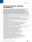 Research paper thumbnail of The Somatic Genomic Landscape of Glioblastoma