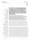 Research paper thumbnail of Formation of Foamy Macrophages by Tuberculous Pleural Effusions Is Triggered by the Interleukin-10/Signal Transducer and Activator of Transcription 3 Axis through ACAT Upregulation