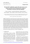 Research paper thumbnail of Bovine IgG1 antibodies against Mycobacterium avium subsp. paratuberculosis protein p34-cx improve association of bacteria and macrophages