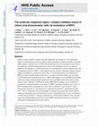 Research paper thumbnail of The molecular chaperone sigma 1 receptor mediates rescue of retinal cone photoreceptor cells via modulation of NRF2