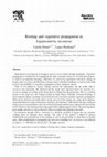 Research paper thumbnail of Rooting and vegetative propagation in Laguncularia racemosa