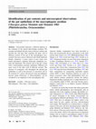 Research paper thumbnail of Identification of gut contents and microscopical observations of the gut epithelium of the macrophagous ascidian Cibacapsa gulosa Monniot and Monniot 1983 (Phlebobranchia, Octacnemidae)