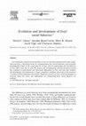 Research paper thumbnail of Evolution and development of boys' social behavior