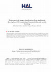 Research paper thumbnail of Hyperspectral image classification from multiscale description with constrained connectivity and metric learning