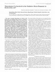 Research paper thumbnail of Thioredoxin 2 Is Involved in the Oxidative Stress Response inEscherichia coli