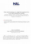 Research paper thumbnail of Giant optical anisotropy in a single InAs quantum dot in a very dilute quantum-dot ensemble