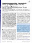 Research paper thumbnail of Different phosphoisoforms of RNA polymerase II engage the Rtt103 termination factor in a structurally analogous manner