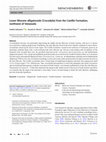 Research paper thumbnail of Lower Miocene alligatoroids (Crocodylia) from the Castillo Formation, northwest of Venezuela