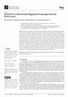 Research paper thumbnail of KLK4T2 Is a Hormonally Regulated Transcript from the KLK4 Locus