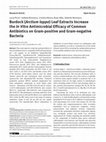 Research paper thumbnail of Burdock (Arctium lappa) Leaf Extracts Increase the In Vitro Antimicrobial Efficacy of Common Antibiotics on Gram-positive and Gram-negative Bacteria