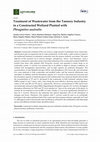 Research paper thumbnail of Treatment of Wastewater from the Tannery Industry in a Constructed Wetland Planted with Phragmites australis