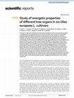 Research paper thumbnail of Study of energetic properties of different tree organs in six Olea europaea L. cultivars