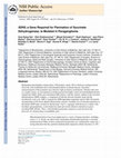 Research paper thumbnail of SDH5 , a Gene Required for Flavination of Succinate Dehydrogenase, Is Mutated in Paraganglioma