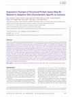 Research paper thumbnail of Expression Changes of Structural Protein Genes May Be Related to Adaptive Skin Characteristics Specific to Humans