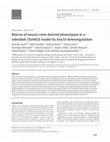 Research paper thumbnail of Rescue of neural crest-derived phenotypes in a zebrafish CHARGE model by Sox10 downregulation