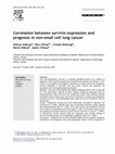 Research paper thumbnail of Correlation Between Survivin Expression and Prognosis in Non-Small Cell Lung Cancer