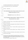 Research paper thumbnail of What is behind phylogenetic analysis of hospital‐, community‐ and livestock‐associated methicillin‐resistantStaphylococcus aureus?