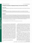 Research paper thumbnail of Phylogenetic Composition of Angiosperm Diversity in the Cloud Forests of Mexico