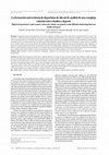 Research paper thumbnail of High level sportsmen's and women's university studies: an analysis on the difficult relationship between studies and sport