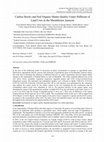 Research paper thumbnail of Carbon Stocks and Soil Organic Matter Quality Under Different of Land Uses in the Maranhense Amazon