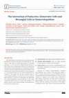 Research paper thumbnail of The Interaction of Podocytes, Glomerular Cells and Mesangial Cells in Glomerulopathies