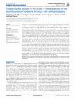 Research paper thumbnail of Clustering the lexicon in the brain: a meta-analysis of the neurofunctional evidence on noun and verb processing