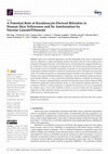 Research paper thumbnail of A Potential Role of Keratinocyte-Derived Bilirubin in Human Skin Yellowness and Its Amelioration by Sucrose Laurate/Dilaurate