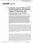 Research paper thumbnail of Multiproxy study of 7500-year-old wooden sickles from the Lakeshore Village of La Marmotta, Italy