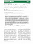 Research paper thumbnail of Vacuolar Protein Sorting 26C encodes an evolutionarily conserved large retromer subunit in eukaryotes that is important for root hair growth in Arabidopsis thaliana