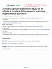 Research paper thumbnail of A Multidisciplinary Experimental Study on the Effects of Breeders Diet on Newborn Seahorses (Hippocampus guttulatus)