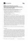 Research paper thumbnail of Biofilms from Klebsiella pneumoniae: Matrix Polysaccharide Structure and Interactions with Antimicrobial Peptides