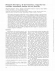 Research paper thumbnail of Phylogenetic Discordance at the Species Boundary: Comparative Gene Genealogies Among Rapidly Radiating Heliconius Butterflies