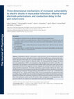 Research paper thumbnail of Three-dimensional mechanisms of increased vulnerability to electric shocks in myocardial infarction: Altered virtual electrode polarizations and conduction delay in the peri-infarct zone