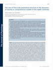 Research paper thumbnail of The role of fine-scale anatomical structure in the dynamics of reentry in computational models of the rabbit ventricles