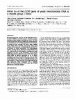 Research paper thumbnail of Intron 5α of the COXI gene of yeast mitochondrial DNA is a mobile group I intron