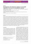 Research paper thumbnail of Development and embryonic staging in non-model organisms: the case of an afrotherian mammal