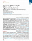 Research paper thumbnail of Genome-wide RNAi Screen Identifies SEC61A and VCP as Conserved Regulators of Sindbis Virus Entry