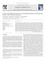 Research paper thumbnail of Structural and stability characteristics of a monothiol glutaredoxin: Glutaredoxin-like protein 1 from Plasmodium falciparum