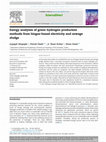 Research paper thumbnail of Exergy analyses of green hydrogen production methods from biogas-based electricity and sewage sludge