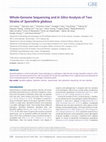 Research paper thumbnail of Whole-Genome Sequencing andIn SilicoAnalysis of Two Strains ofSporothrix globosa