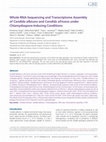 Research paper thumbnail of Whole RNA-Sequencing and Transcriptome Assembly of Candida albicans and Candida africana under Chlamydospore-Inducing Conditions