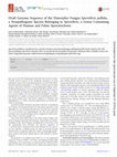 Research paper thumbnail of Draft Genome Sequence of the Dimorphic Fungus Sporothrix pallida , a Nonpathogenic Species Belonging to Sporothrix, a Genus Containing Agents of Human and Feline Sporotrichosis