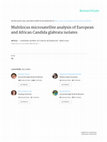 Research paper thumbnail of Multilocus microsatellite analysis of European and African Candida glabrata isolates