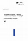 Research paper thumbnail of Identidade profissional: o caso dos produtores de videojogos em Portugal