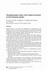 Research paper thumbnail of Morphodynamic study of the Ondarreta Beach in San Sebastian (Spain)